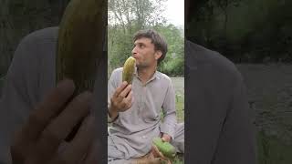 fazal Malik o noor jamil Afridi travel peshawartravelagent nature vlog [upl. by Hutchins997]