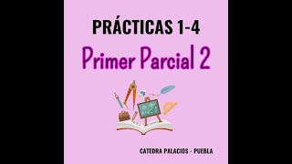 Primer parcial – Modelo 2 [upl. by Fineman]