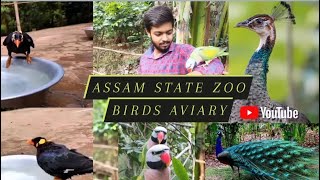 Birds aviary Assam state zoo open birds parrothill mynanative bird indiahypotheticalnature8072 [upl. by Thibault]