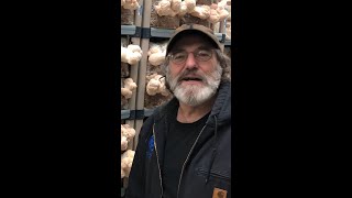 Paul Stamets in Lion’s Mane Grow Room [upl. by Nesta]