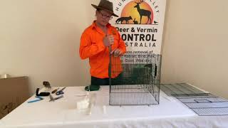 Myna Trap 2023 MK3 Installation video from Central Coast Deer and Vermin Control [upl. by Fokos]