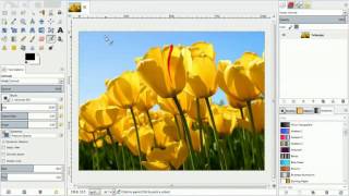 شرح برنامج GIMP منهج كمبيوتر 2017 اولى اعدادى [upl. by Dranoc]