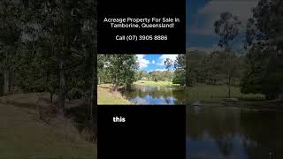 wallabies in this acreage property for sale in tamborine qld [upl. by Aihsenet]