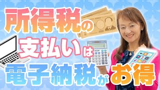 所得税の納付はインターネットを使った電子納税がお得で簡単 [upl. by Assirac879]