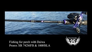 Team Colibri Daiwa Prorex 100 HSLA amp Prorex 742 [upl. by Evante]