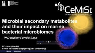 Microbial secondary metabolites and their impact on marine bacterial microbiomes by Pernille Bech [upl. by Hakym]