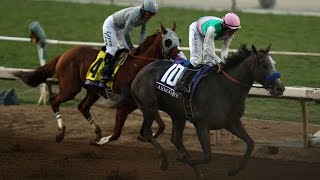 Arrogate wins the Breeders Cup Classic from California Chrome [upl. by Noe]