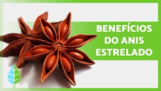 Para que serve o anis estrelado 🤎 Propriedades benefícios e contraindicações [upl. by Gavette405]