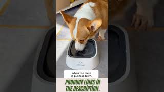 Dog Water Bowl – Keep Your Pet Hydrated Anytime dogwaterbowl doghealth petaccessories short [upl. by Shayne523]