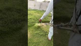 Lawn Grass Cutting [upl. by Freida]