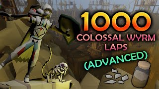 Loot From 1000 Colossal Wyrm Laps Advanced [upl. by Frants]