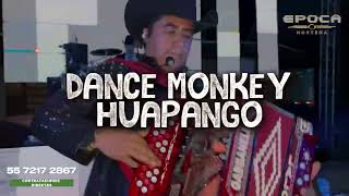 Los mejores huapangos para baialar  Huapaganga Style y Dance Monkey en vivo l Epoca Norteña [upl. by Acirfa329]