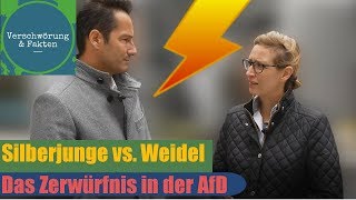 SILBERJUNGE gegen WEIDEL Das Zerwürfnis in der AfD Thorsten SCHULTE wieder in Lebensgefahr 2018 [upl. by Euqilegna]