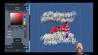 MolPlay coarse grained interactive molecular dynamics of a double bilayer system [upl. by Ikila406]