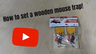 HOW TO SET A WOODEN MOUSE TRAP  Tomcat Mouse Trap Wooden ClassicTraditional Wood Trap  Review [upl. by Nnylirak499]