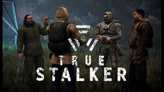 69 Кроличья нора в True StalkerMOD [upl. by Jauch]