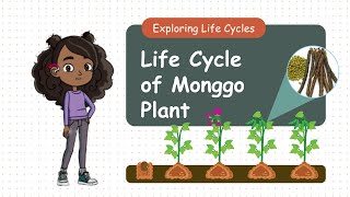 LIFE CYCLE OF MONGGO PLANT [upl. by Sorcim21]