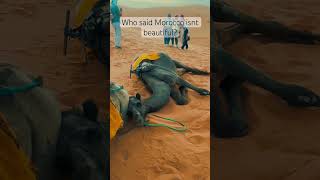 Why to travel morocco Sahara dessert marrakech [upl. by Krein]