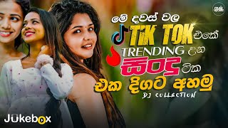 2024 TikTok Viral Songs ටික් ටොක් හිට් උන අලුත්ම ටික Best TikTok Trending Songs playlist 2024 [upl. by Sello]