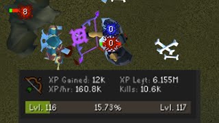 The Best AFK Range Training Method In OSRS [upl. by Nauqaj]