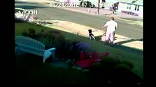 Dog attack caught on tape [upl. by Portie]