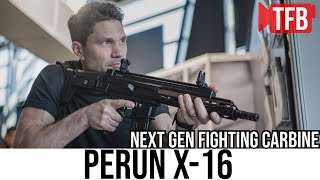 The Perun X16 Rifle is Pretty Amazing [upl. by Larkin]