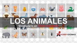 Los animales  Chino mandarín [upl. by O'Connell87]