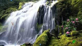 Exotic Waterfall Screensaver httpwwwscreensavergiftcom [upl. by Sivrad]