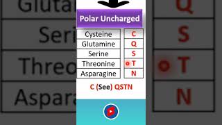 Memorize Amino Acids with Uncharged Polar Side Chains  Biomolecules Class 11 NCERT shorts neet [upl. by Nnyled836]