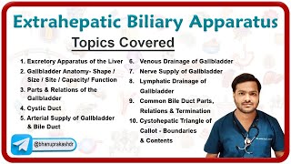 Extrahepatic Biliary Apparatus A Comprehensive Anatomy Guide by Dr Abhijeet 📚✨ [upl. by Adnwahsal]