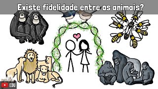 Existe fidelidade entre os animais  Minuto da Terra [upl. by Baldwin706]