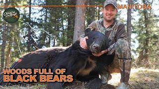 NONSTOP Bears in the Manitoba Woods AMAZING Hunt Action  Canada in the Rough [upl. by Reld]