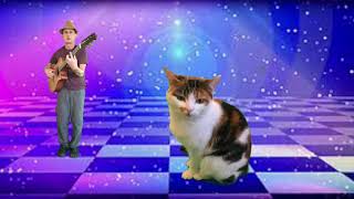 Amazing cat sings “careless whisper” by “George Michael “ [upl. by Erehc]