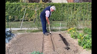 COMMENT SEMER DES LÉGUMES EN PLACE AU POTAGER Émission Jardiner ça fait du bien N°10 [upl. by Russell]