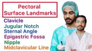 Pectoral Surface Landmark  Clavicle  Jugular Notch  Sternal Angle  Epigastric Fossa  Nipple [upl. by Heriberto]