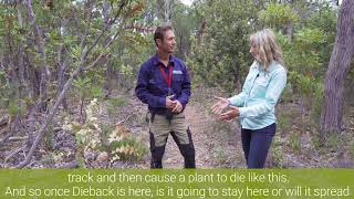 Shire of Mundaring  Dieback [upl. by Sregor]