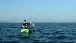 Cape Cod Kayak Fishing for Striped Bass [upl. by Amelia]