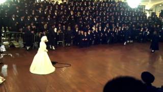 Spinka Rebbi Tangling Kallah at Mitzvah Tantz FUNNY [upl. by Haymes216]