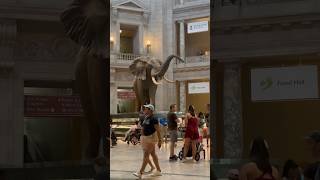 African Bush Elephant  Smithsonian National Museum of Natural History  Washington DC  Horizons視野 [upl. by Trescott]