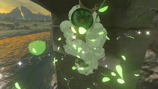 Korok seeds  Aquame Bridge  Central Tower 1114  Zelda BOTW [upl. by Bradney372]