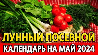 Когда сеять сажать в мае Лунный посевной календарь на май 2024 календарь огородника [upl. by Brenton357]