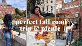 New England travel vlog romantic fall road trip to New Haven CT amp Providence RI [upl. by Braden]