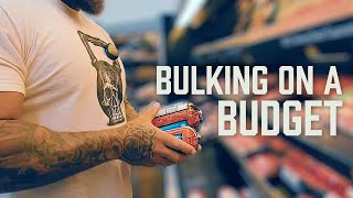 Huge for a Hundred How to Bulk for Bodybuilders on a Budget [upl. by Brandyn]