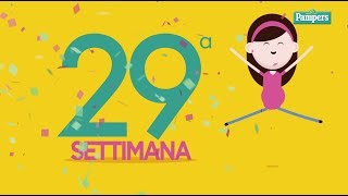 29° settimana di gravidanza [upl. by Pattison243]