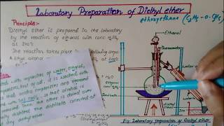 Laboratory Preparation of diethyl EtherEthoxyethane [upl. by Pollie]