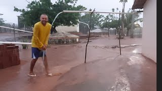 Bastidores choveu na serraria e seu Sergio vai plantar mais Seu Jorge [upl. by Chader]