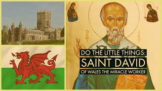 Do the Little Things Saint David of Wales the Miracle Worker [upl. by Franciska]