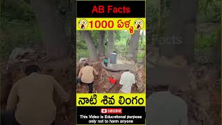 😲1000 ఏళ్ళ😲 1000 years old Siva lingam found in jungle telugufacts shorts youtubeshorts abfacts [upl. by Phoebe878]