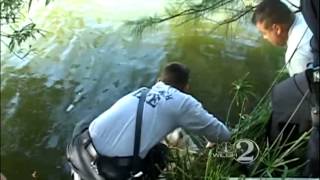 Dog lassoed out of Brevard canal [upl. by Caleb491]