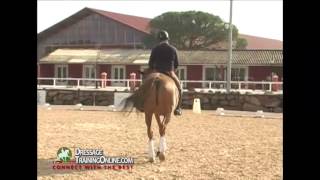 Jan Bemelmans Dressage Training on Acceptance Of The Aids [upl. by Haletta]